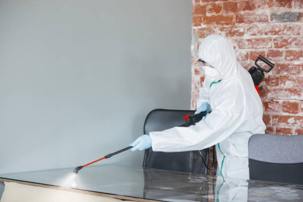 Mold Remediation for Rental Properties in Paris, IL